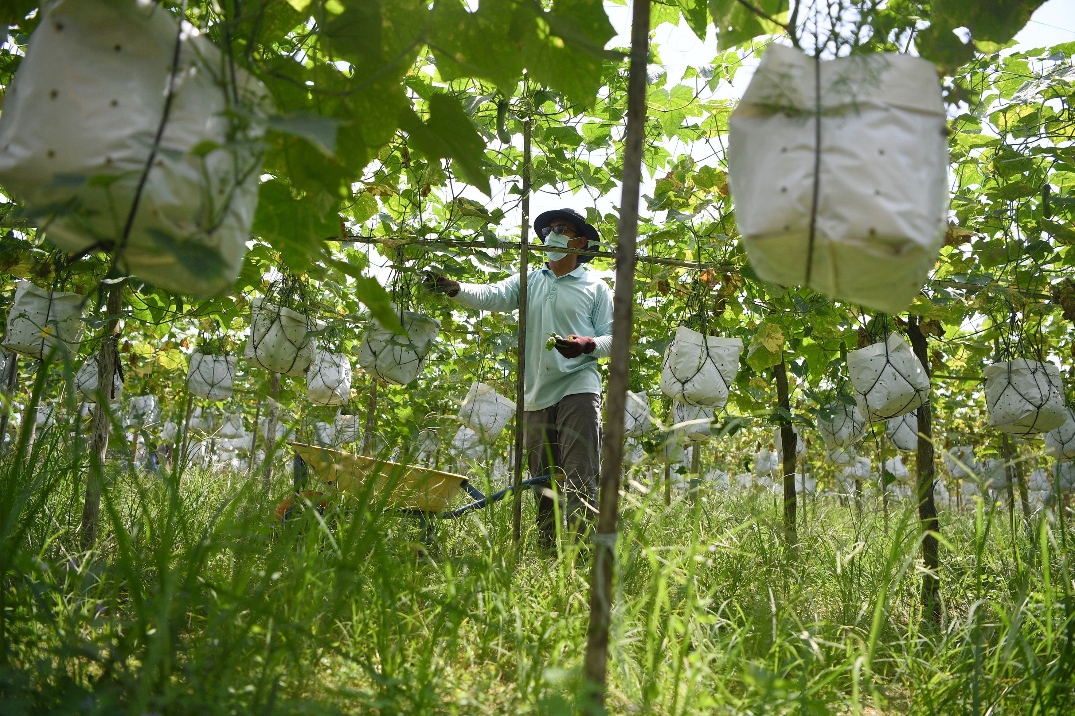 大水灾为农渔业带来逾9000万损失 雪最惨重达3280万