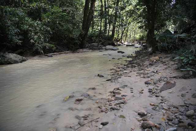 中央政府受促重检讨东铁北线 保护水源生态