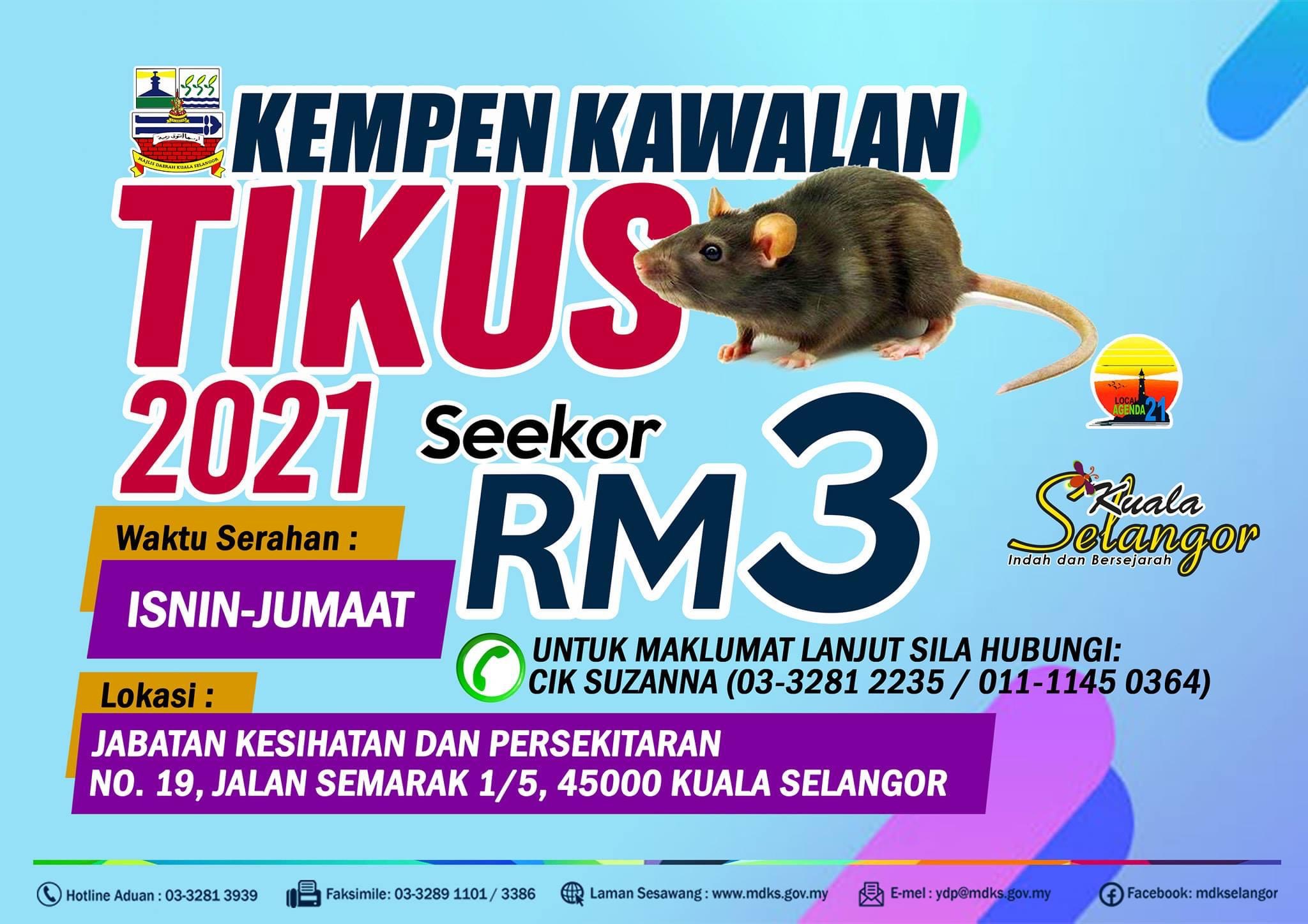 MDKS tawar ganjaran tangkap tikus, RM3 setiap ekor