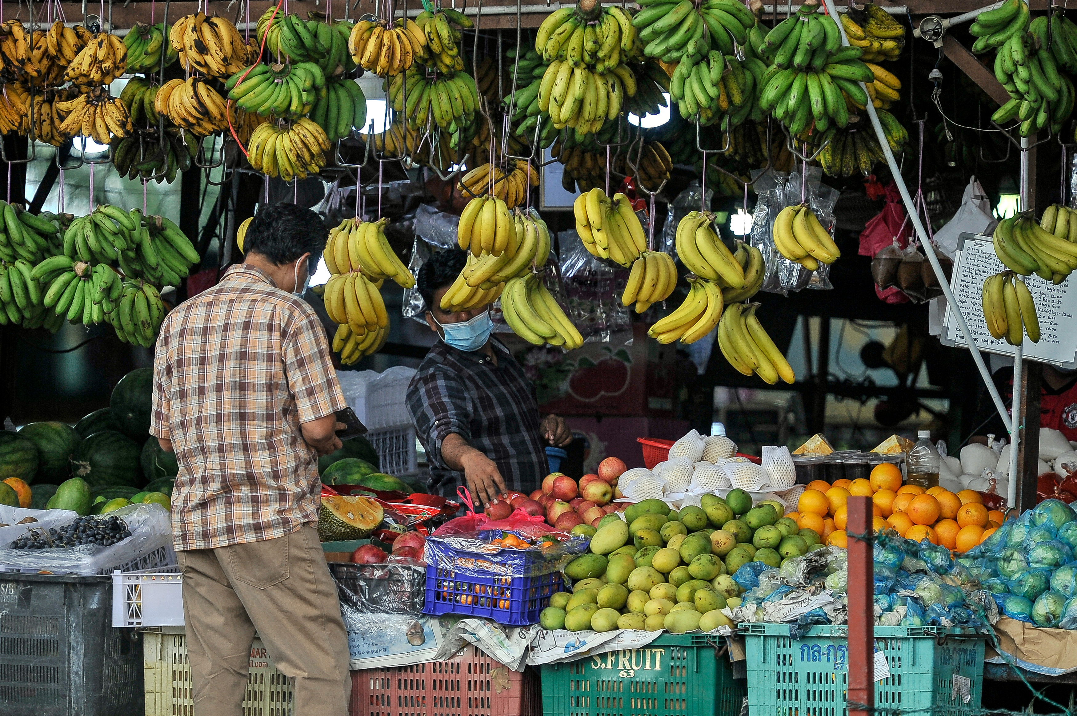 哈妮法：界定援助目标群 考虑以可支配收入为标准