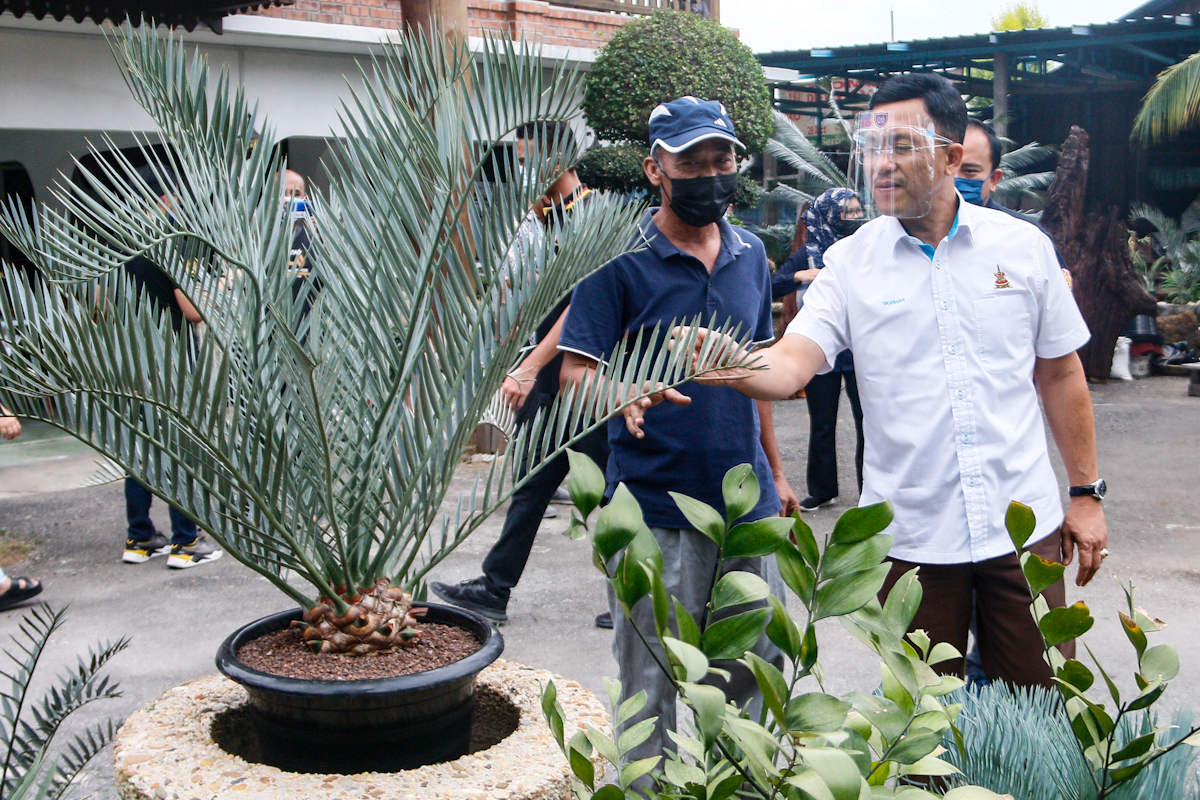 Jana pendapatan, manfaat tanah terbiar kawasan luar bandar