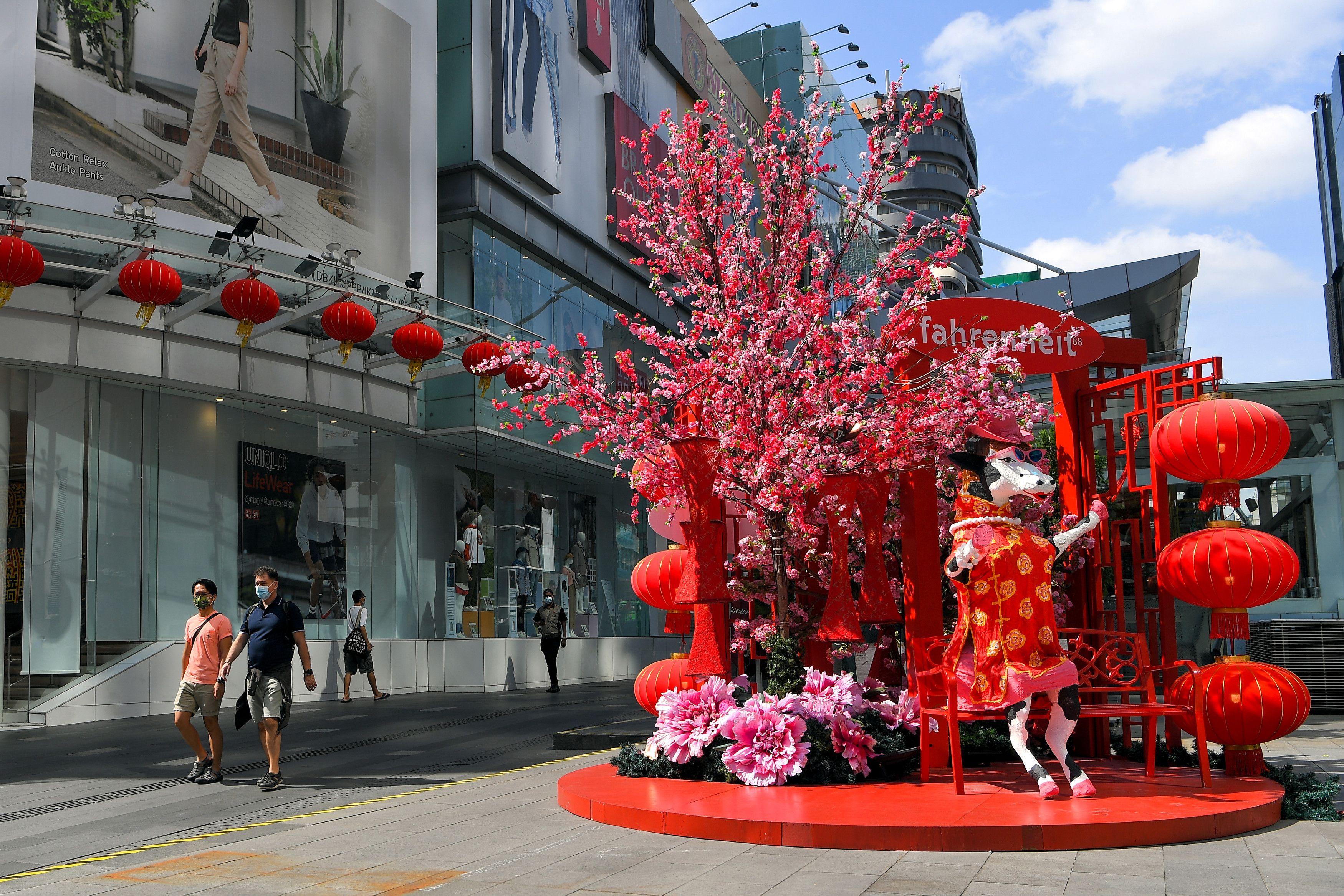 新春SOP引反弹  议员网民质疑逻辑何在？