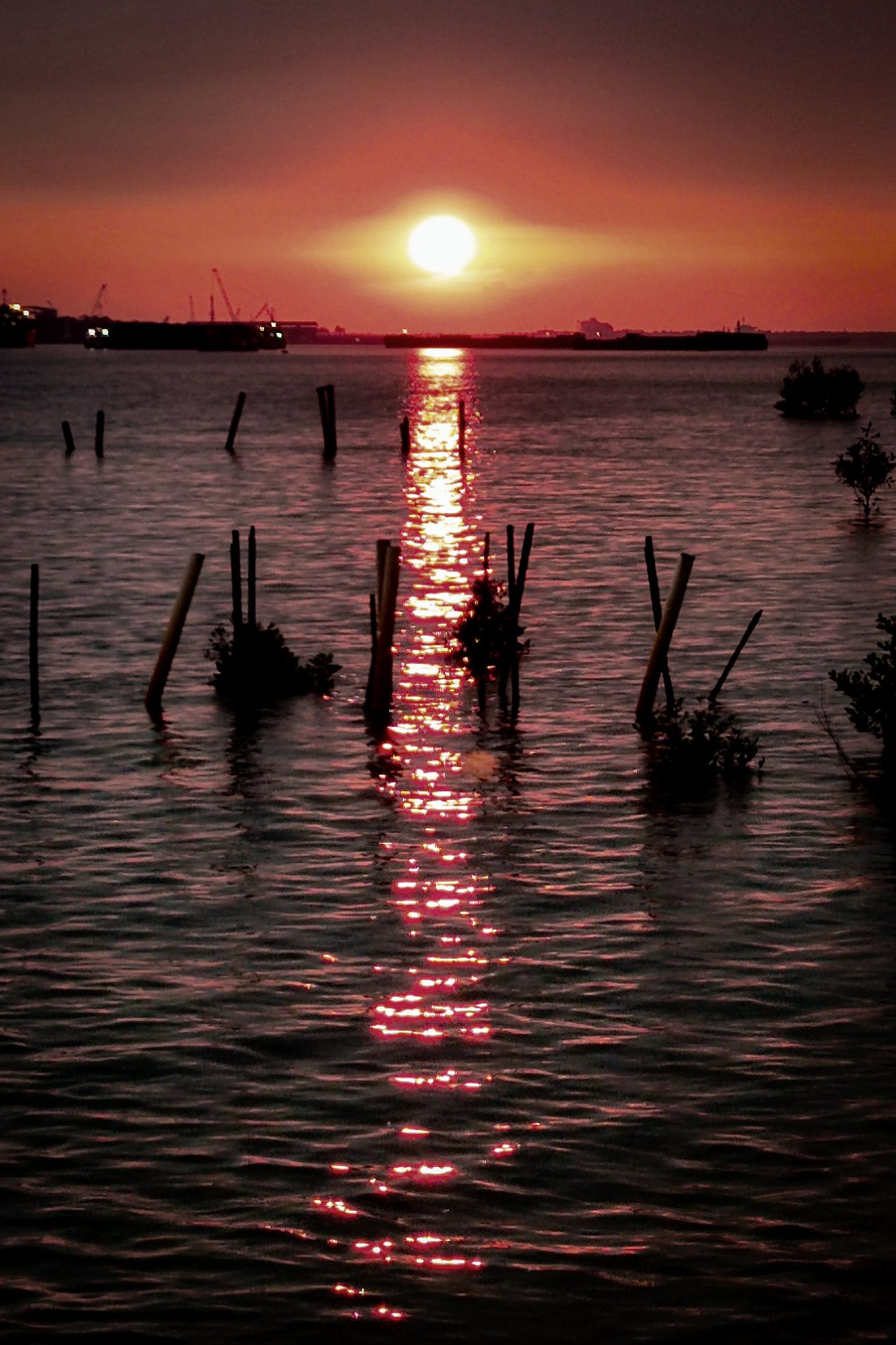 海南村利用潜在优势营造特色 通过旅游带旺村子经济