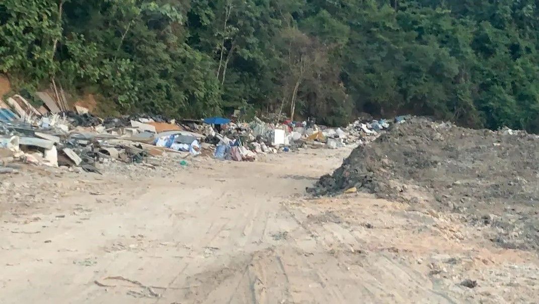 举报垃圾虫有赏金！