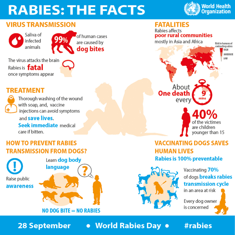 Rabies: Perak residents living near border with Selangor urged to be wary