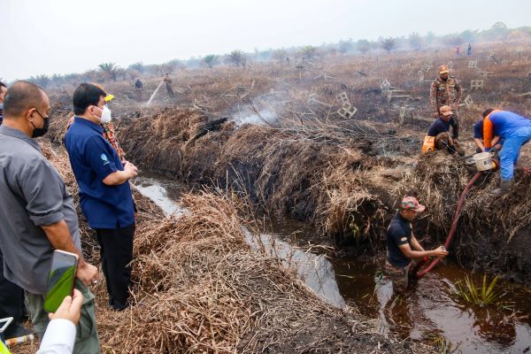 瓜冷南部1700公顷土地建议改为现代农业地 许来贤:遏制侵占