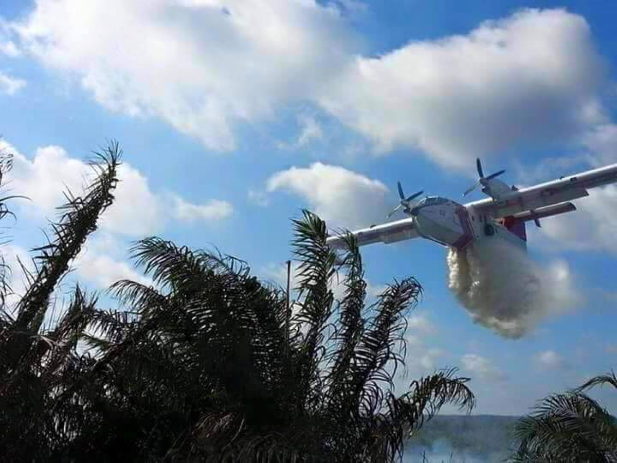 MMEA Bombardier aircraft help puts out fire in Kuala Langat Selatan forest reserve