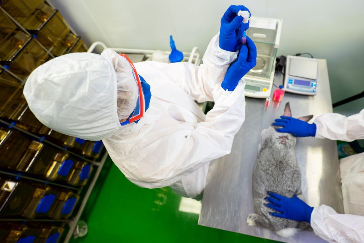 Russia registers world's first Covid-19 vaccine for animals