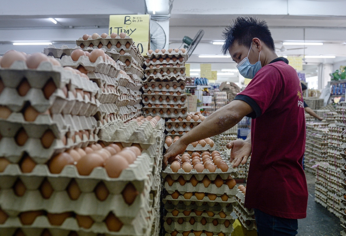 Singapore recalls eggs from another Malaysian farm