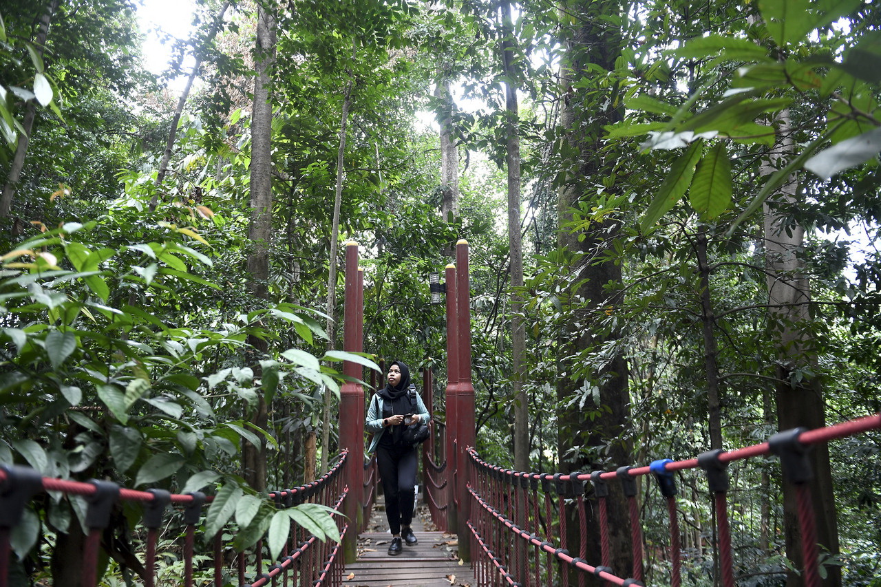 Lindungi hutan imbangi ekosistem alam semulajadi