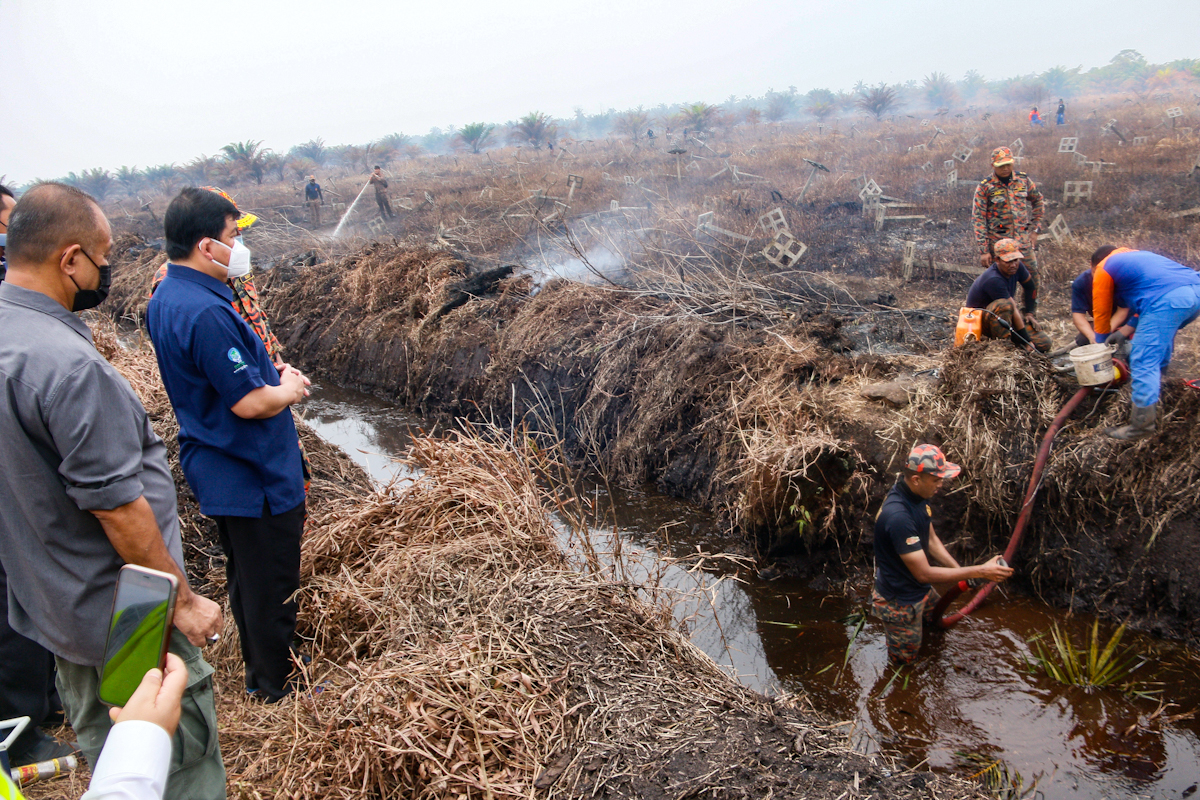 34 hektar Hutan Simpan Kekal Kuala Langat Selatan terbakar, angkara khianat