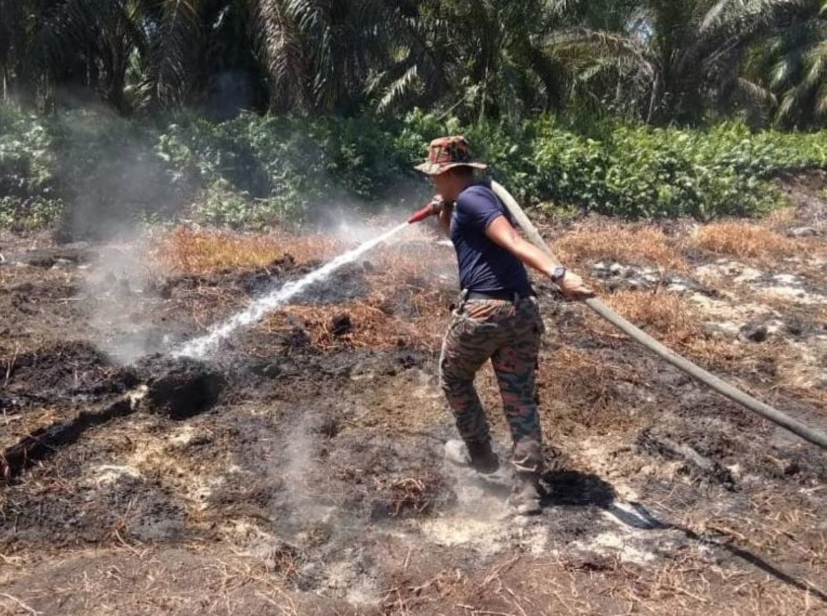 Five more days to extinguish Kuala Langat Selatan forest fire — Fire Dept