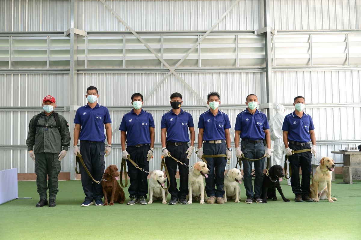 Thai sniffer dogs can detect Covid-19 in sweat, project shows