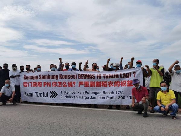 市场遭垄断.扣水率高.补贴少 适耕庄稻农请愿促正视困境