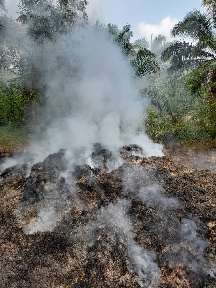 缺德者非法焚烧电子垃圾 瓜冷市会快速派人灭火