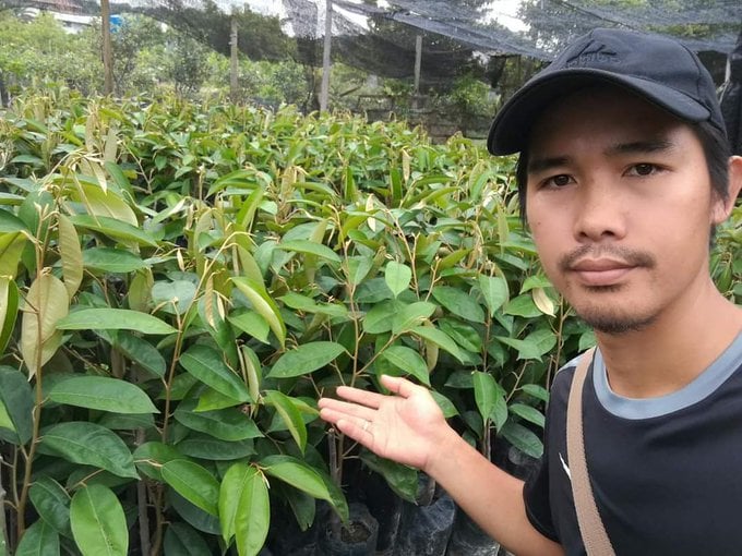 Daripada biji buangan jadi benih raja buah berkualiti