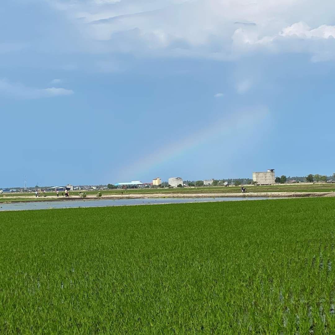 百年适耕庄开埠史书籍 黄瑞林：预计明年3月推出