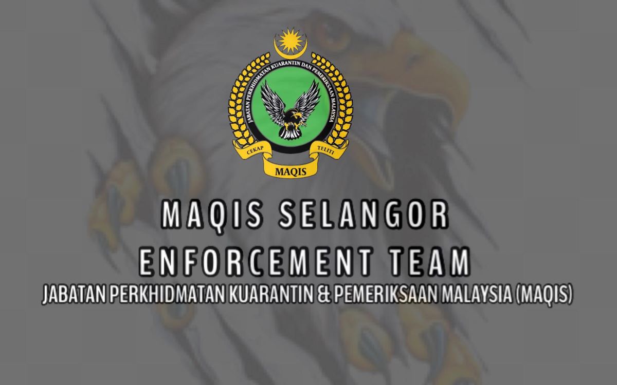Maqis seizes 1,780 kg of Australian beef