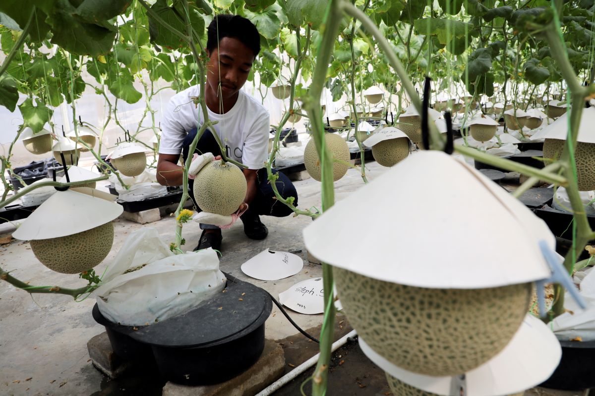 Lazada, Fama team up to boost digitalisation of agricultural sector