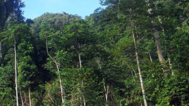 Soldier reported missing in Belum Forest since April 7