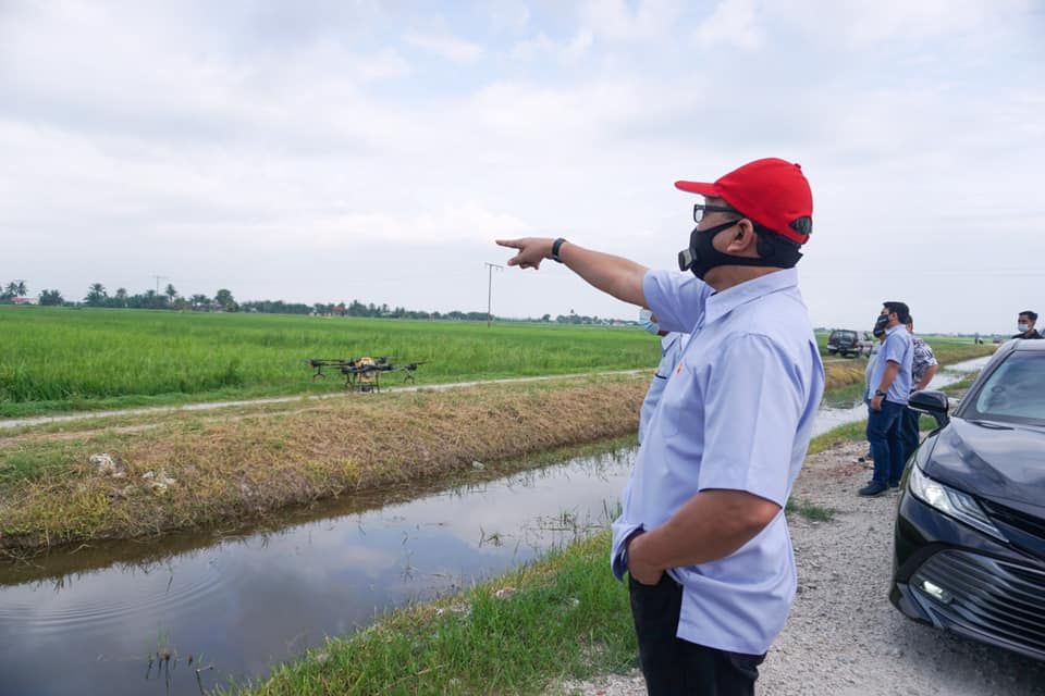 雪政府开始为沙白稻田喷除虫药 依兹汉：年杪可完成逾6600公顷田地