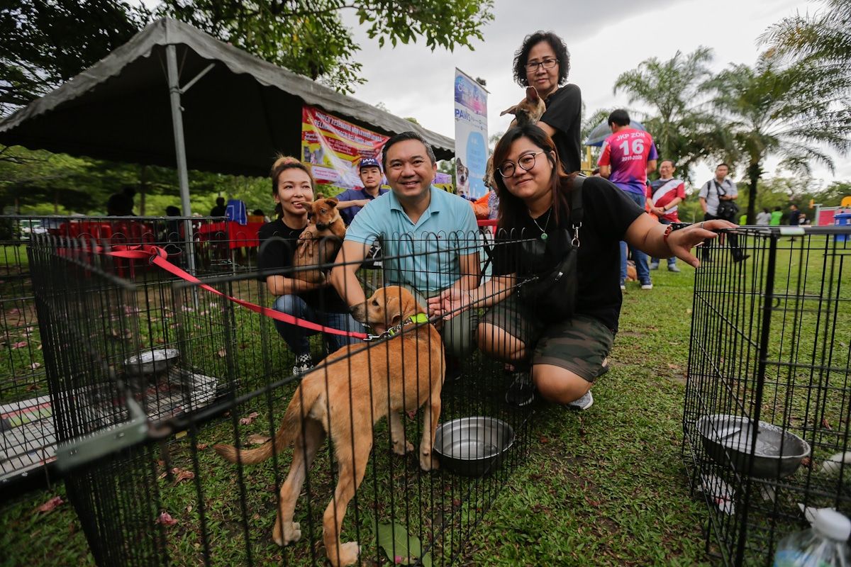 黄思汉：安邦猫运转与保护中心耗费500万 计划打造为景点区