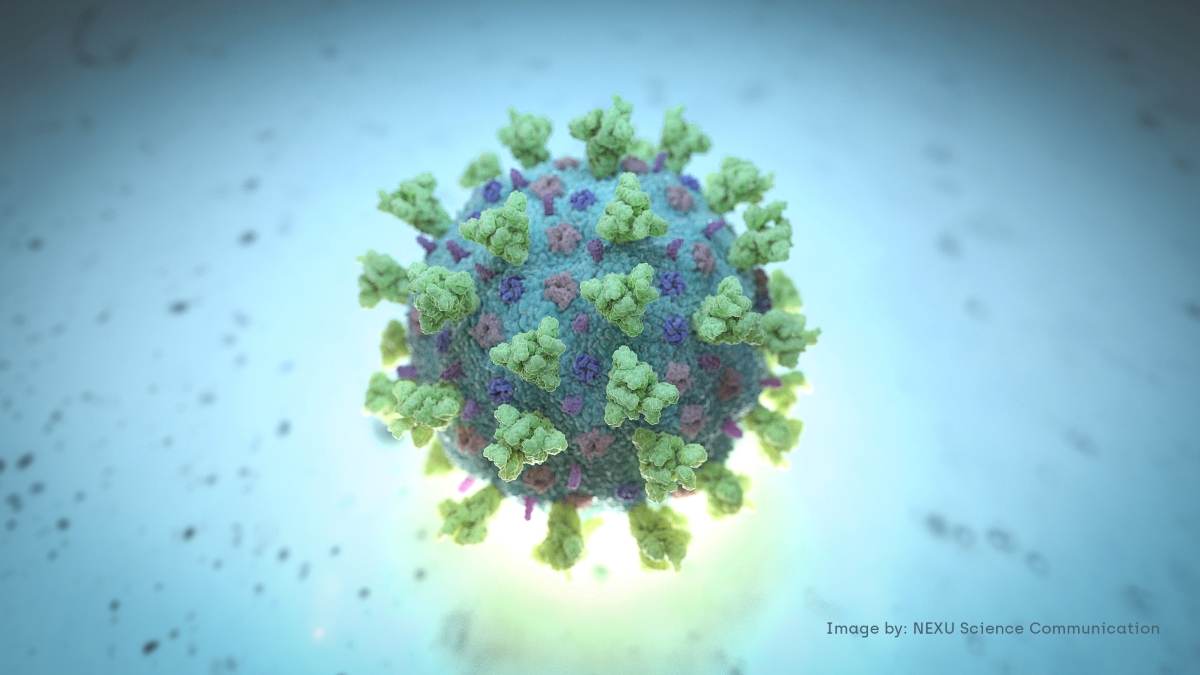 Six more positive cases involving Beta, Delta variants detected