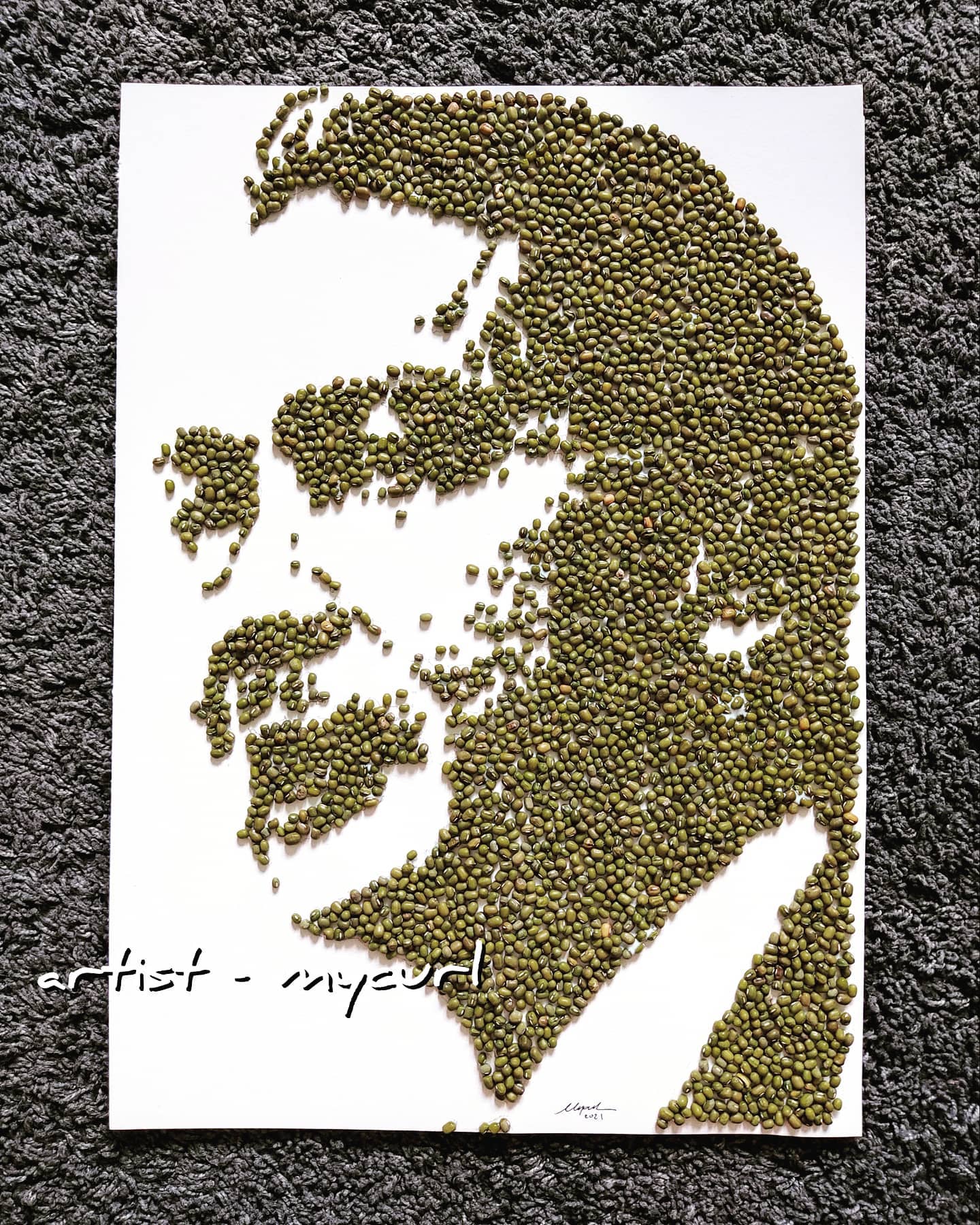 Guna 4,000 biji kacang hijau hasilkan potret KP Kesihatan