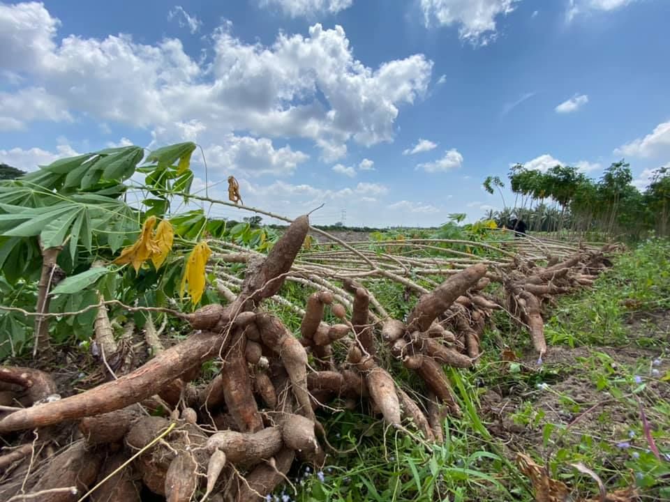 Agro Prihatin Selangor di 10 premis, jual hasil tani lebih murah