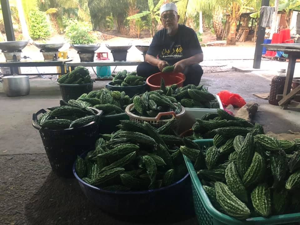 Berkat bantu petani, guru raih purata RM30,000 sebulan jual sambal pecal