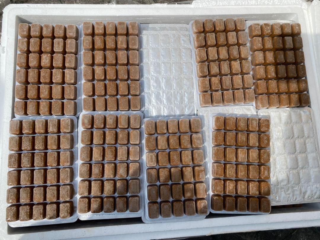 அனுமதியின்றி சீனாவிலிருந்து இறக்குமதி செய்யப்பட்ட 8.9 டன் மீன் தீவனம் பறிமுதல்