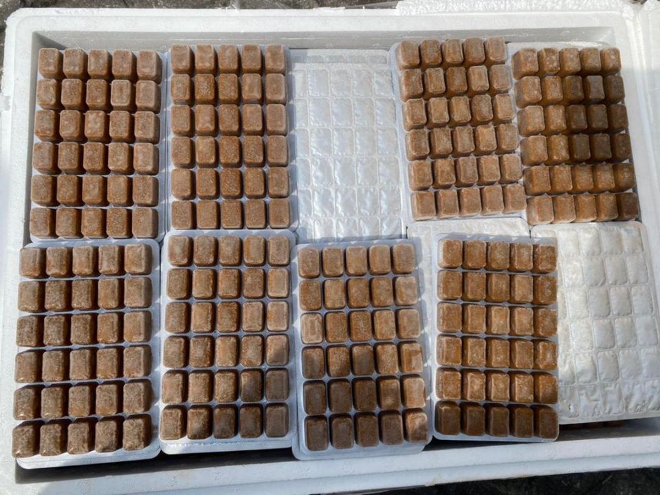 巴生港口缉获近10万令吉 高达8938公斤的中国鱼肉食品