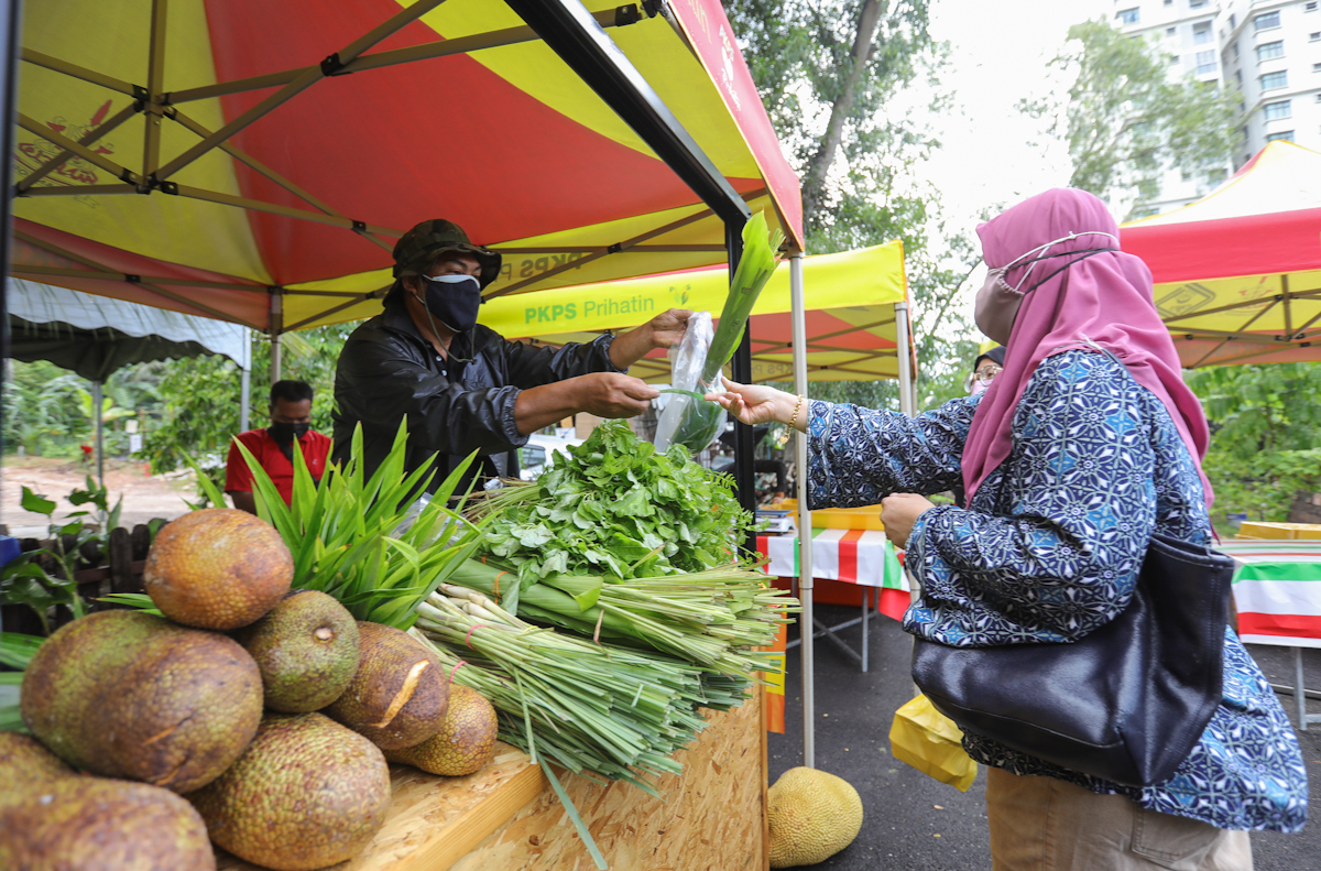 Modenkan sektor tani negeri bantu tingkat hasil, jual harga patut
