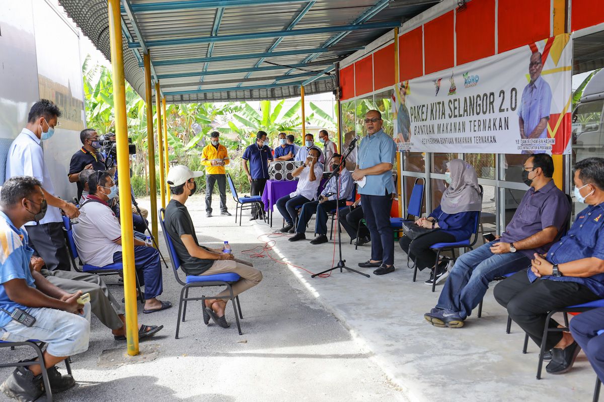சபாக் பெர்ணமில் 70 விழுக்காட்டு வயல்களில் பூச்சித் தொல்லை கட்டுப்படுத்தப்பட்டது