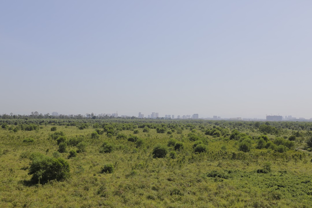 Pakar sah nilai biodiversiti hutan gantian setaraf HSKLU
