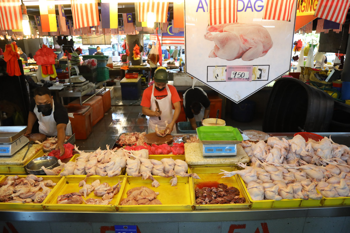 Most poultry farms ready to supply chickens to the market — Mafi