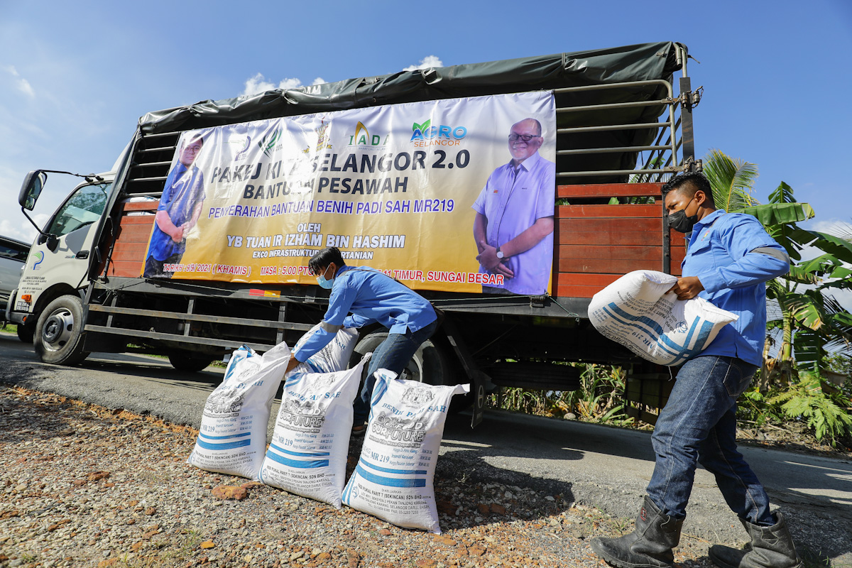 Pesawah Sungai Panjang, Bagan Terap terima bantuan benih padi MR219