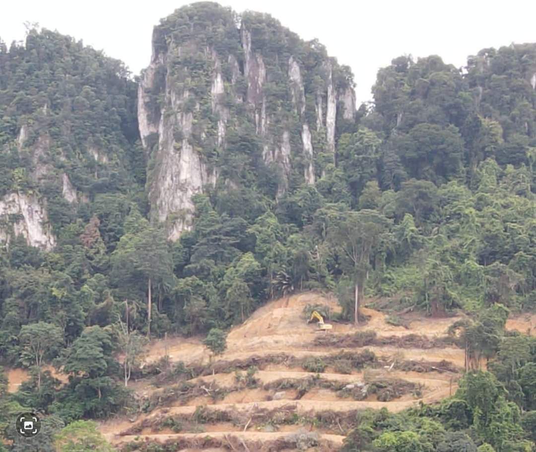 Milik persendirian tetapi tiada kelulusan aktiviti tanah di Bukit Tabur