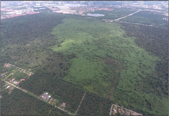 KeTSA bantu usaha pemulihan Hutan Simpan Kuala Langat Utara