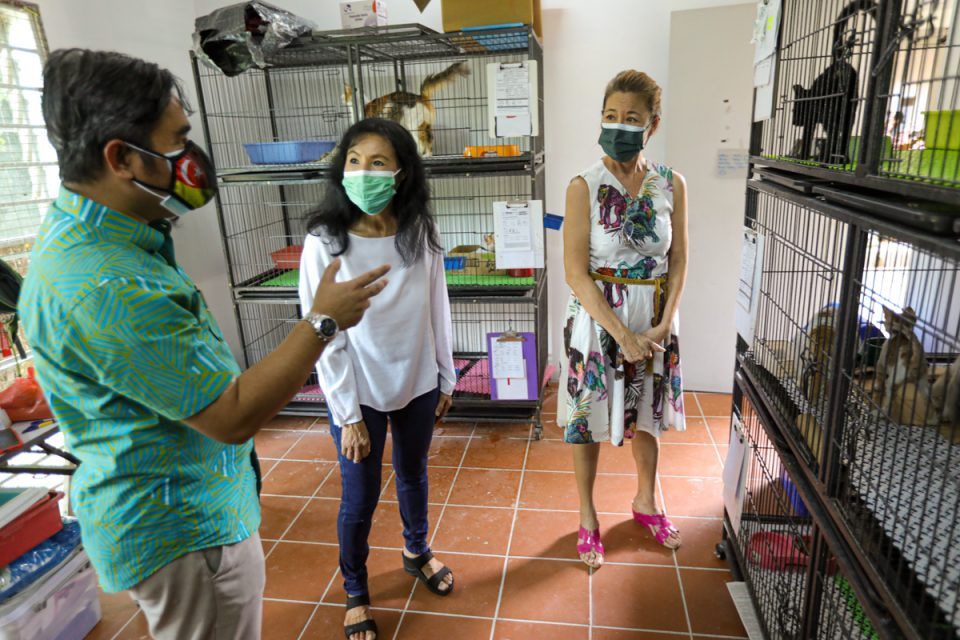 雪州大臣机构捐SPCA 5万 照顾流浪猫狗福利