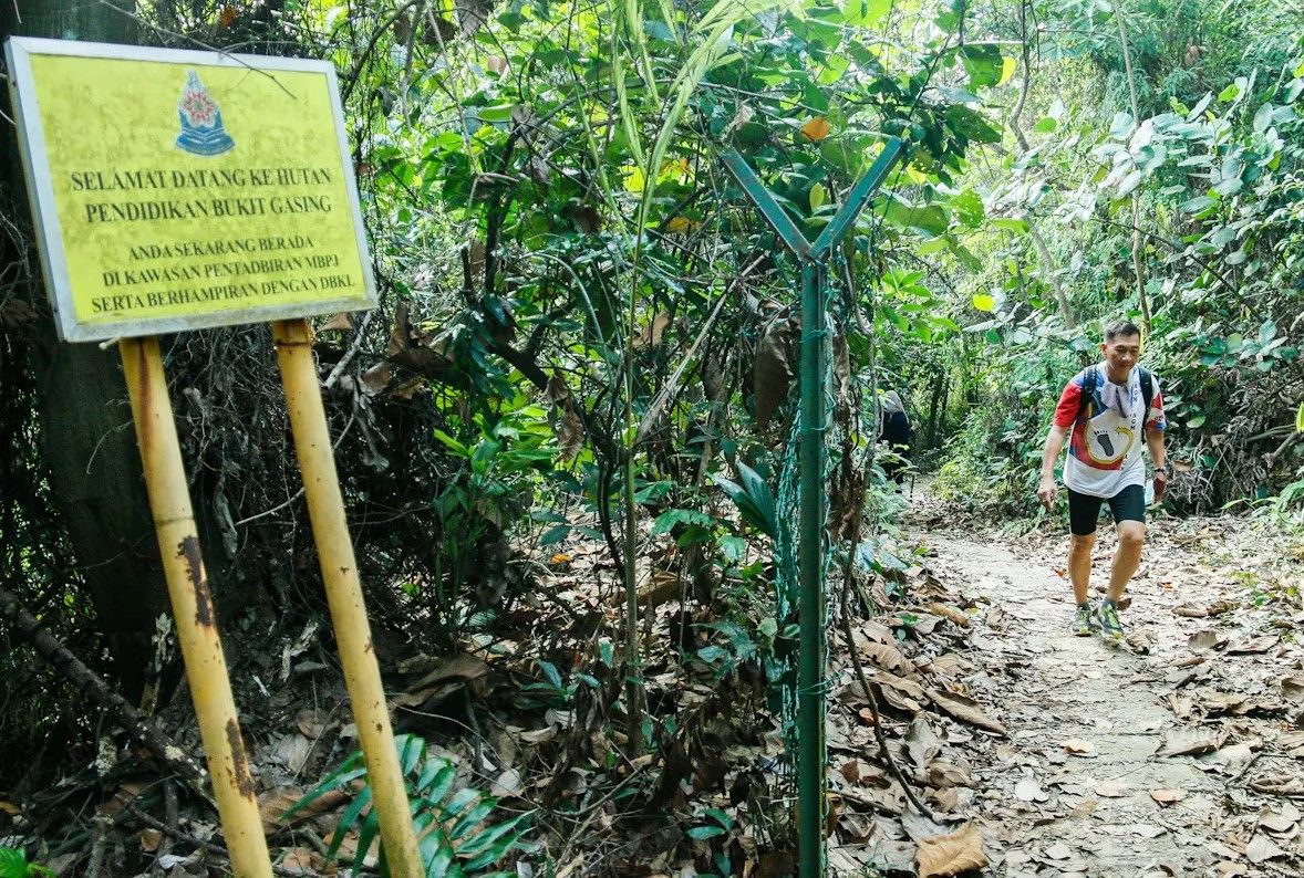 明日起不能登山了！ 雪森林.登山道雨季暂关闭