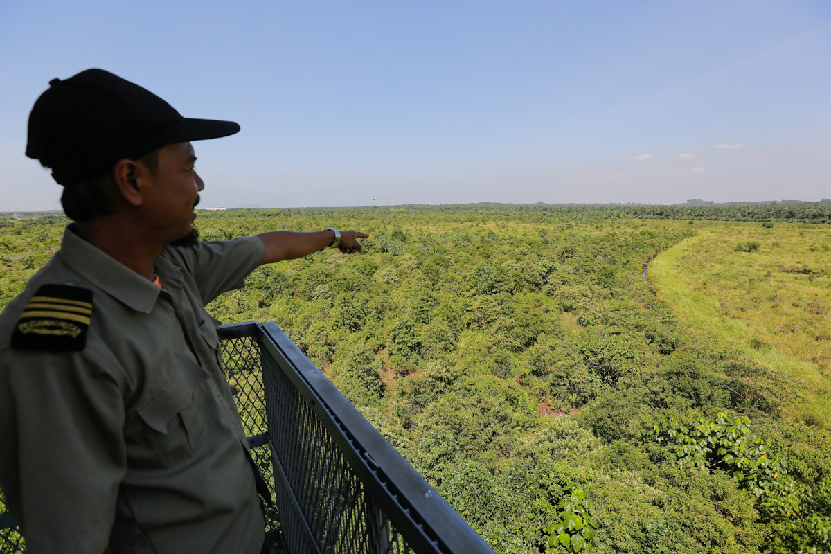 Selangor govt exercises due diligence in degazetting Kuala Langat North Forest Reserve