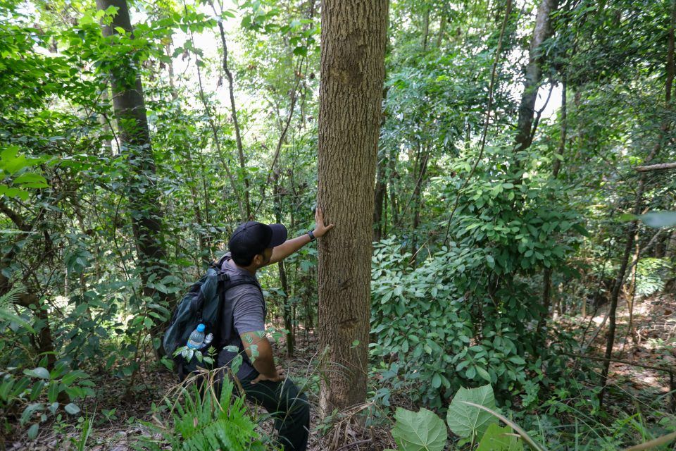 黄洁冰促中央向雪州看齐 修正国家森林保护法令.实践减碳政策