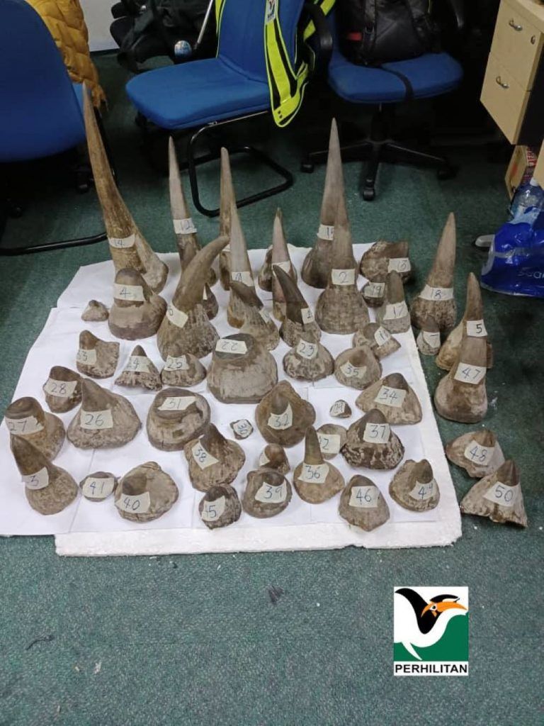 侦破总值3000万走私案  2嫌犯落网起获50犀牛角