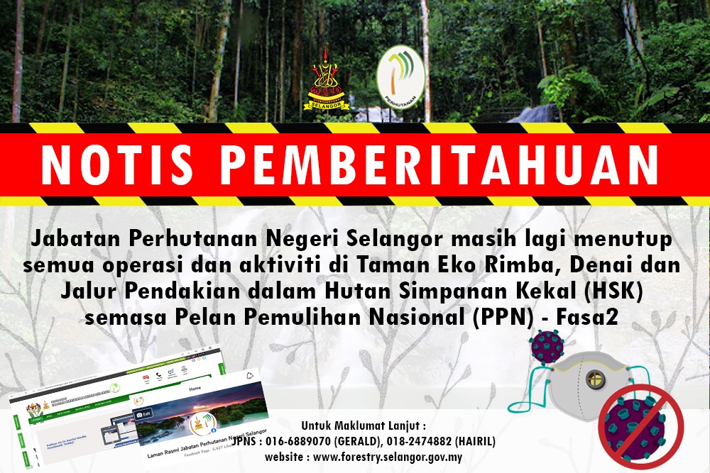 Semua aktiviti dalam hutan simpan kekal masih dilarang