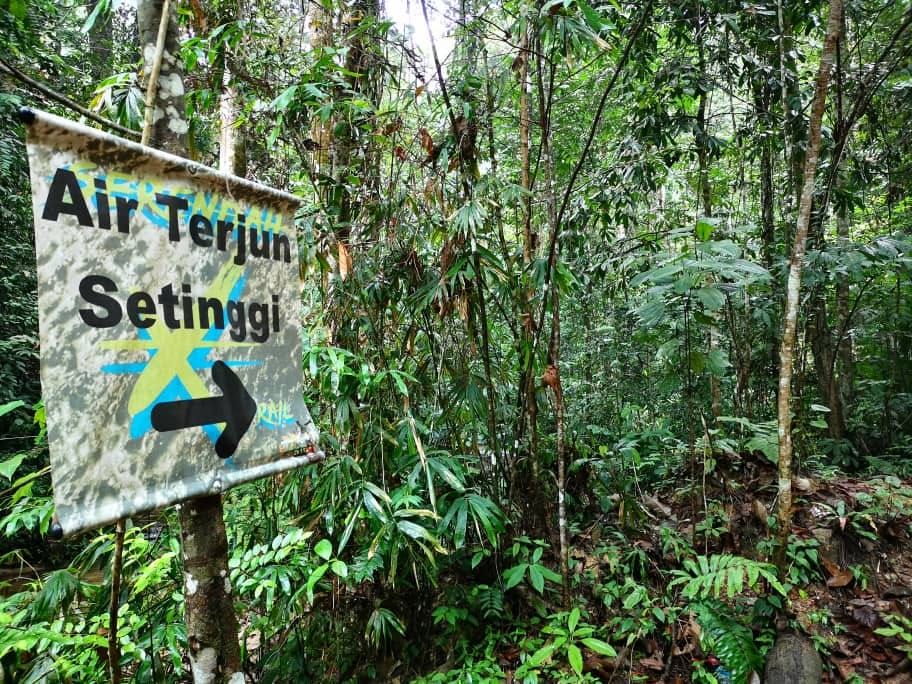 56登山者闯双文丹瀑布 遭雪森林局逮捕