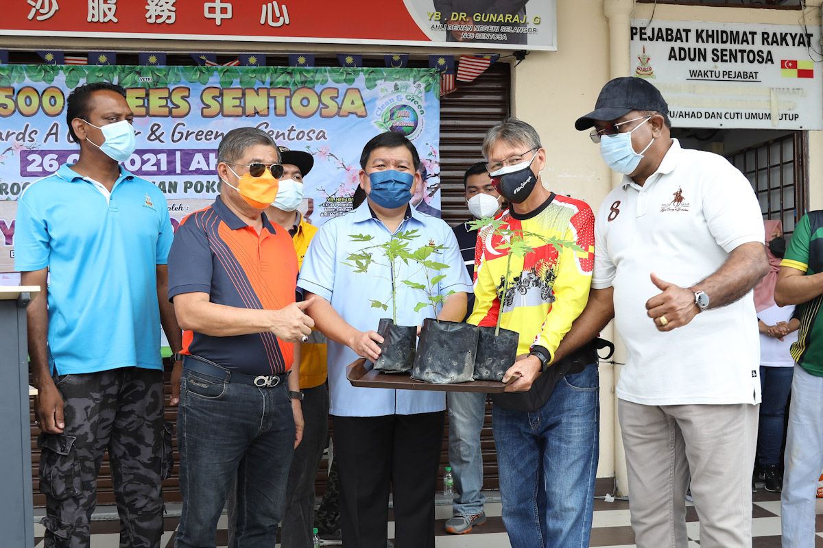 Selangor aims to plant one mln trees, invites NGOs to contribute