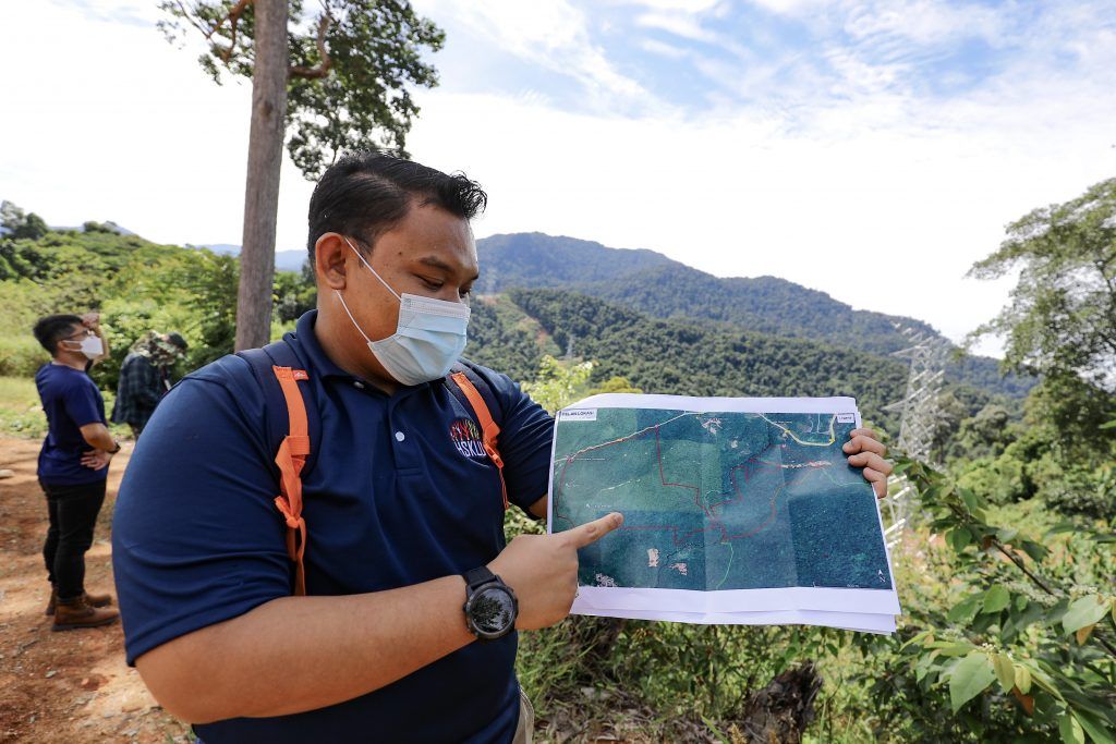 大臣：更大面积取代   雪州森林保留地不减反增