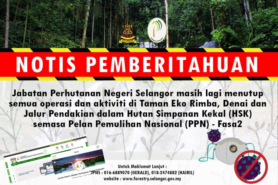 Activities still not allowed in permanent reserve forest