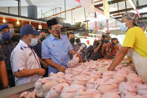 农食品部受促检讨政策 压制肉鸡价格上涨